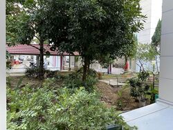 Blk 258 Tampines Street 21 (Tampines), HDB 3 Rooms #535442021